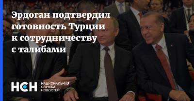 Реджеп Тайип Эрдоган - Ашраф Гани - Эрдоган подтвердил готовность Турции к сотрудничеству с талибами - nsn.fm - Россия - Турция - Афганистан - Талибан
