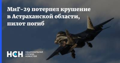 МиГ-29 потерпел крушение в Астраханской области, пилот погиб - nsn.fm - Россия - Астраханская обл.