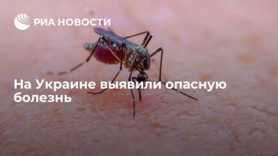 На Украине выявили три случая опасного заболевания дирофиляриоза - ria.ru - Москва - Украина - Киев