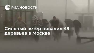 Сильный ветер в Москве повалил 49 деревьев, повреждены 24 машины - ria.ru - Москва