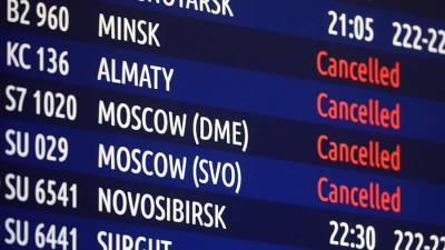 В московских аэропортах задержаны и отменены более 30 рейсов - iz.ru - Москва - Россия - Южная Корея - Израиль - Египет - Венгрия - Киргизия - Таджикистан - Чехия - Кипр