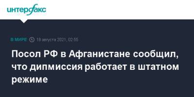 Дмитрий Жирнов - Посол РФ в Афганистане сообщил, что дипмиссия работает в штатном режиме - interfax.ru - Москва - Россия - Китай - США - Афганистан - Талибан
