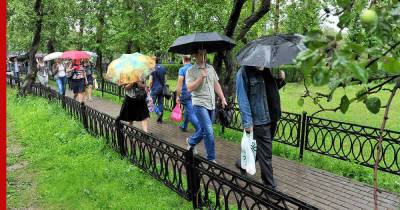 Дождь и пониженная температура: погода в московском регионе 19 августа - profile.ru - Москва - Московская обл.