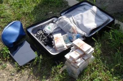 Житель Биробиджана забыл на улице чемодан с 15 млн рублей - hab.aif.ru - Россия - Биробиджан