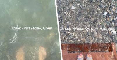 Было жалко тратить драгоценный день отпуска на море на такую грязь: туристка была шокирована пляжем на самом популярном российском курорте - reendex.ru - Сочи