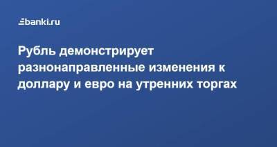Рубль демонстрирует разнонаправленные изменения к доллару и евро на утренних торгах - smartmoney.one