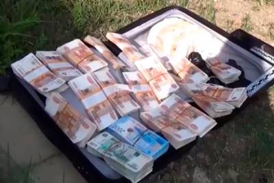 Россиянин забыл на улице чемодан с 15 миллионами рублей - lenta.ru - Биробиджан