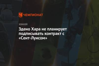 Луис Блюз - Здено Хара не планирует подписывать контракт с «Сент-Луисом» - championat.com - Вашингтон - Бостон