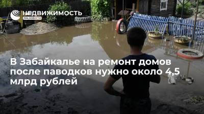 Андрей Гурулев - Около 4,5 млрд руб нужно на капремонт и строительство домов после паводков в Забайкалье - realty.ria.ru - Чита