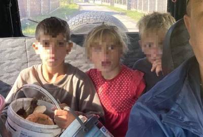 Потерявшихся на Закарпатье четверых детей удалось найти - kp.ua - Украина - район Ужгородский