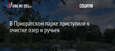 В Приоратском парке приступили к очистке озер и ручьев - ivbg.ru - Украина - Ленинградская обл. - Экология