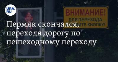 Пермяк скончался, переходя дорогу по пешеходному переходу - ura.news - Пермь - Пермский край