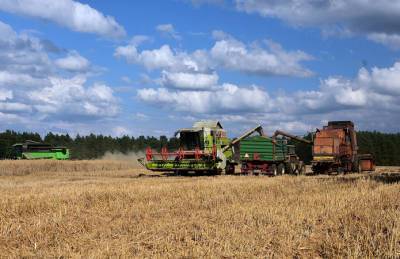 Хмельницкая область лидирует по урожайности ранних зерновых - agroportal.ua - Украина - Хмельницкая обл.