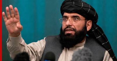 Ашраф Гани - Мухаммед Наим - Reuters: талибы предложат представителям прежней власти места в правительстве Афганистана - profile.ru - Афганистан - Кабул - Reuters - Талибан