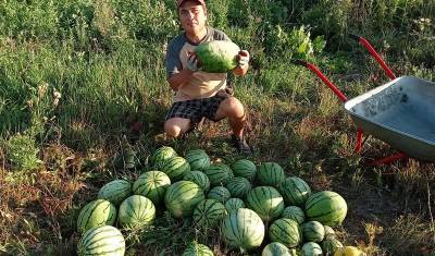 «Не хочу лежать дома»: как инвалид из Башкирии сделал бизнес на домашних арбузах - mkset.ru - Башкирия