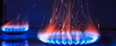 В Тульской области с начала года угарным газом отравились 40 человек - runews24.ru - Тульская обл.
