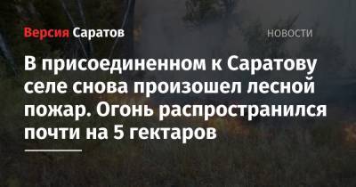 В присоединенном к Саратову селе снова произошел лесной пожар. Огонь распространился почти на 5 гектаров - nversia.ru - населенный пункт Угрозы