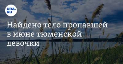 Александр Моор - Найдено тело пропавшей в июне тюменской девочки - ura.news - Тюмень - Тюменская обл.