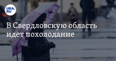 Галина Шепоренко - В Свердловскую область идет похолодание - ura.news - Свердловская обл.