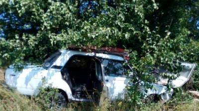 Два пенсионера и 8-летний мальчик пострадали в ДТП в Воронежской области - vestivrn.ru - Воронеж - Воронежская обл. - район Каменский