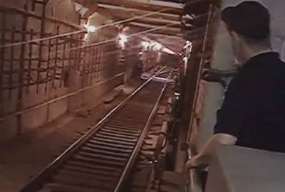 Хищник очутился в харьковском метро, видео: "Запрещают снимать" - politeka.net - Украина - Харьковская обл. - Харьков