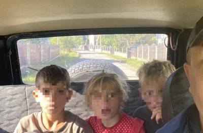 На Закарпатье нашли четверых детей, заблудившихся в лесу - prm.ua - Украина - район Ужгородский