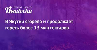 Юрий Трутнев - В Якутии сгорело и продолжает гореть более 13 млн гектаров - readovka.news - респ. Саха