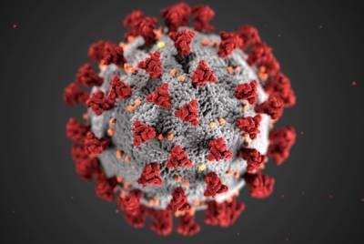 Эндрю Поллард - Вакцинолог Поллард назвал мифом достижение коллективного иммунитета к COVID-19 из-за новых штаммов - abnews.ru - Англия