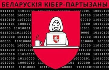 «Кибер-партизаны» скачали с серверов МВД Беларуси 5 терабайт данных - charter97.org - Белоруссия
