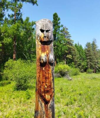 Тотем женщины нашли в Алтачейском заказнике в Бурятии - nazaccent.ru - респ.Бурятия