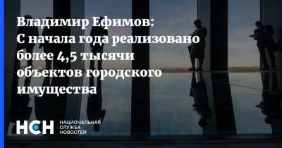 Владимир Ефимов - Владимир Ефимов: С начала года реализовано более 4,5 тысячи объектов городского имущества - nsn.fm - Москва