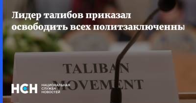 Андрей Чупрыгин - Лидер талибов приказал освободить всех политзаключенных - nsn.fm - Россия - Афганистан - Талибан