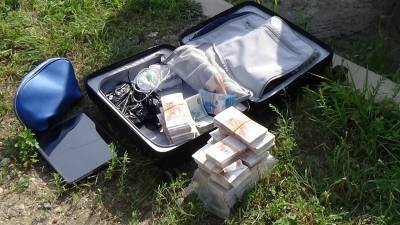 В Биробиджане мужчина, торопясь в командировку, оставил на улице чемодан с ₽15 млн - znak.com - Россия - Еврейская обл. - Биробиджан