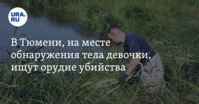 В Тюмени, на месте обнаружения тела девочки, ищут орудие убийства - ura.news - Тюмень