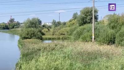 Опубликовано видео с места обнаружения тела девочки в Тюмени - iz.ru - Россия - Израиль - Тюмень