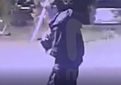 Видео: петербуржец ударил отверткой возлюбленную за то, что она забрала у него кота - ivbg.ru - Украина - Санкт-Петербург
