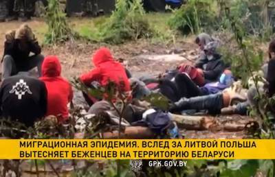 Польские пограничники насильственно выдворяют беженцев - ont.by - Белоруссия - Польша - Литва - Афганистан
