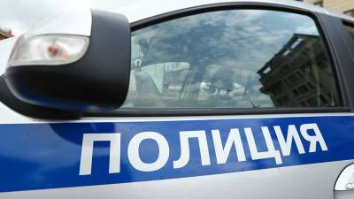 Охранник ударил девочку-подростка в торговом центре в Челябинске - iz.ru - Израиль - Челябинск