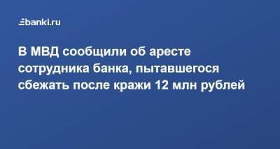 В МВД сообщили об аресте сотрудника банка, пытавшегося сбежать после кражи 12 млн рублей - smartmoney.one - Москва