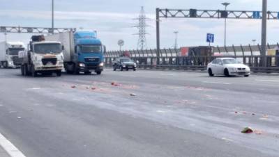Движение на юге КАД в Петербурге ограничили арбузы - dp.ru - Санкт-Петербург