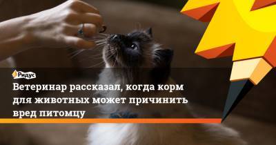Ветеринар рассказал, когда корм для животных может причинить вред питомцу - ridus.ru