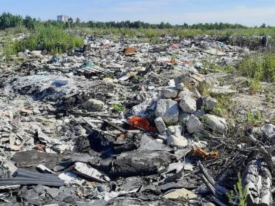 В Петербурге за полтора года с организаторов нелегальных свалок взыскали 19,5 млн рублей - rosbalt.ru - Санкт-Петербург