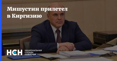 Михаил Мишустин - Мишустин прилетел в Киргизию - nsn.fm - Россия - Армения - Казахстан - Узбекистан - Белоруссия - Киргизия - Куба - Премьер-Министр