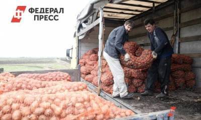 Эксперты оценили благосостояние жителей Югры и Ямала в картошке - smartmoney.one - Москва - Тюменская обл. - Югра - Салехард - Ямал