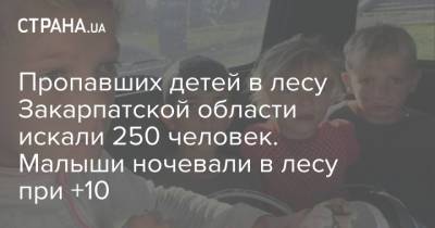 Пропавших детей в лесу Закарпатской области искали 250 человек. Малыши ночевали в лесу при +10 - strana.ua - Украина - Закарпатская обл.