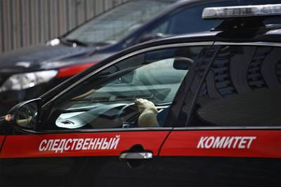 Расчлененное тело пропавшей в Тюмени девочки находилось в двух километрах от дома - runews24.ru - Тюмень