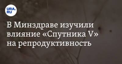 В Минздраве изучили влияние «Спутника V» на репродуктивность - ura.news - Россия