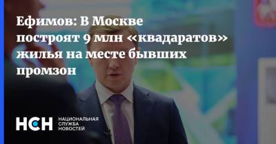 Владимир Ефимов - Ефимов: В Москве построят 9 млн «квадаратов» жилья на месте бывших промзон - nsn.fm - Москва