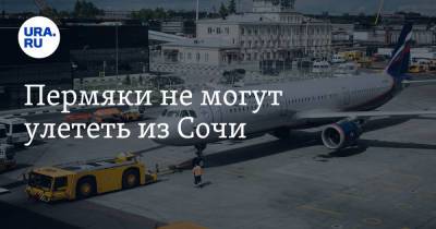 Пермяки не могут улететь из Сочи - ura.news - Сочи - Пермь