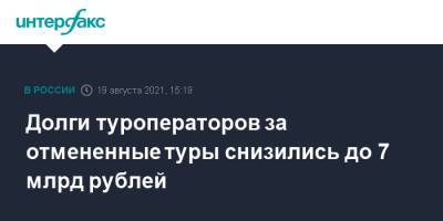 Зарина Догузова - Долги туроператоров за отмененные туры снизились до 7 млрд рублей - interfax.ru - Москва